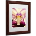 thumbnail image 2 of Trademark Fine Art 'Antiqued Iris' Canvas Art by PIPA Fine Art, White Matte, Wood Frame, 2 of 4