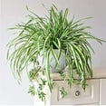 thumbnail image 5 of Sunjoy Tech Artificial Chlorophytum Flowers, Faux Flowers Spider Plant Fake Greenery Plant Hanging Basket Ivy Green Leaves Wall Hanging Plants for Home Garden Office Wedding Decoration, 5 of 8