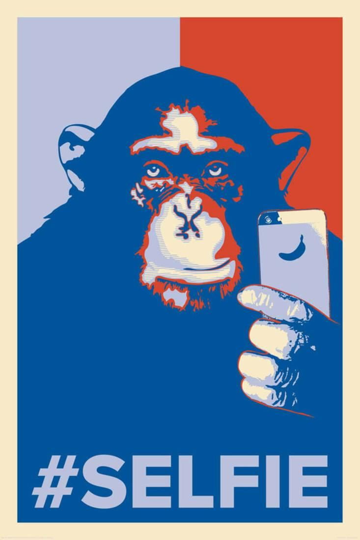 Monkey Selfie Poster 24in x 36in 