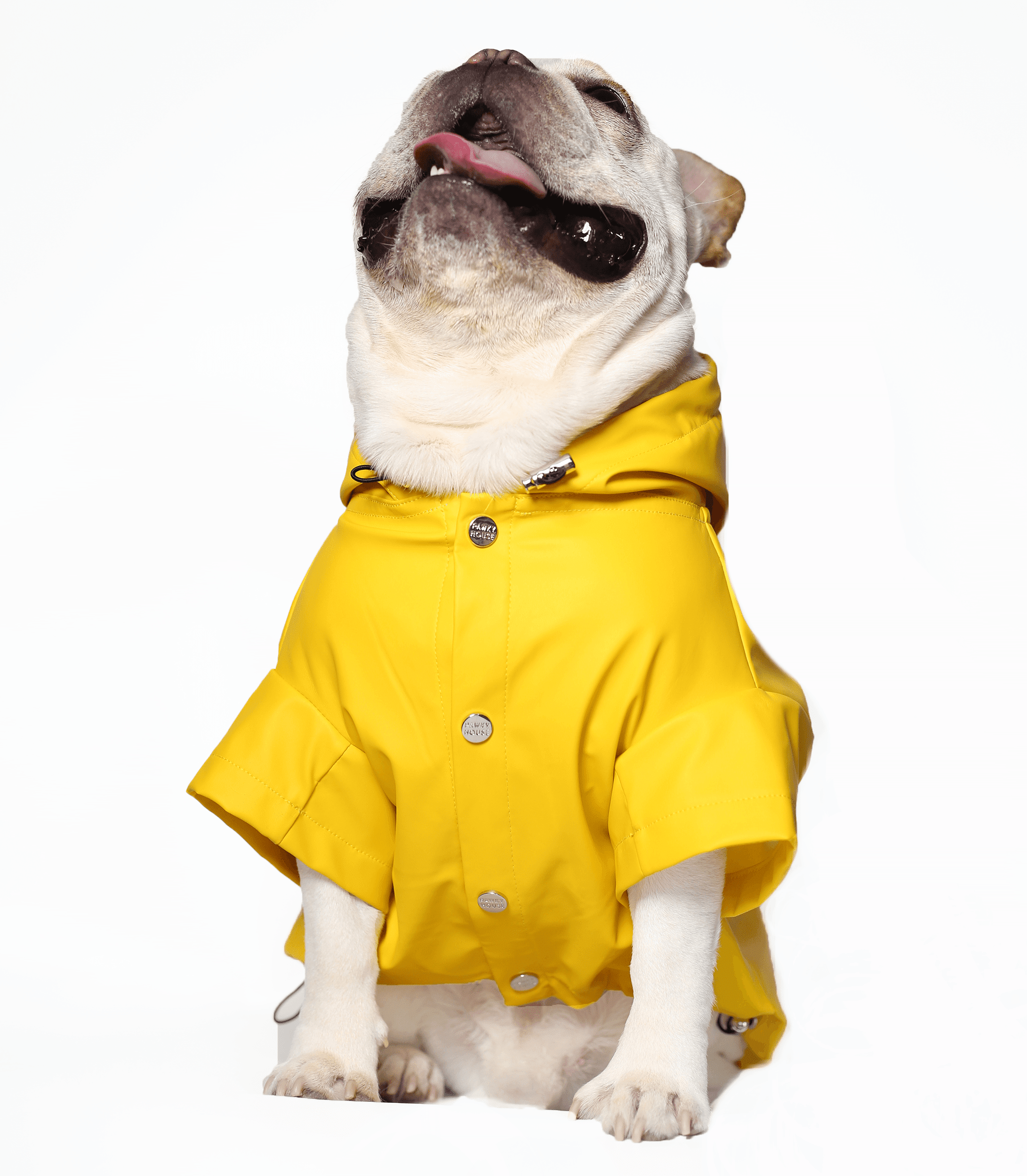 Pawky House Style Dog Raincoats for Small Dogs, rain Jacket with Hood