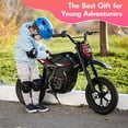 thumbnail image 3 of DuoDian Electric Dirt Bike for kids,850W Peak Motor 15.5MPH Top Speed, 6.8Miles Range 36V 4Ah Battery, 12*2.75 Inch Inflatable Tires, Rear Disc Brake For Road age 3-10，Black, 3 of 9