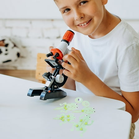 GOOHOCHY Tadpole Transformation Educational Tool For Preschool Activities