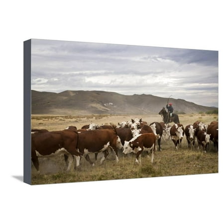 Gauchos with Cattle at the Huechahue Estancia, Patagonia, Argentina, South America Stretched Canvas Print Wall Art By Yadid