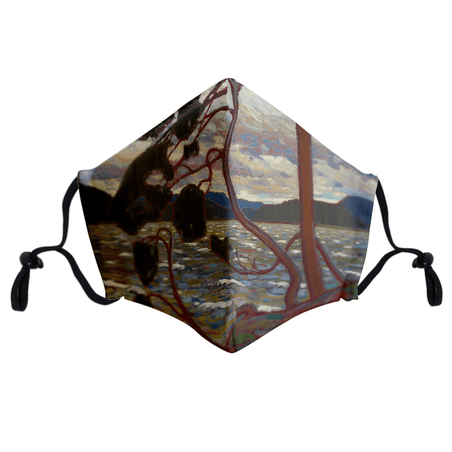 Maskcott / Collection d'Art Masques / pour Adultes et Enfants / Masque Réutilisable, Lavable, en Coton