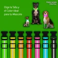 thumbnail image 4 of Collar Ajustable Luz Led Perro Gato Luminoso Paseo Nocturno, 4 of 5