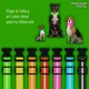 thumbnail image 4 of Collar Ajustable Luz Led Perro Gato Luminoso Paseo Nocturno, 4 of 5