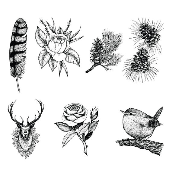Tattify Nature Themed Temporary Tattoos - Into The Forest Wild (Set of 14)  