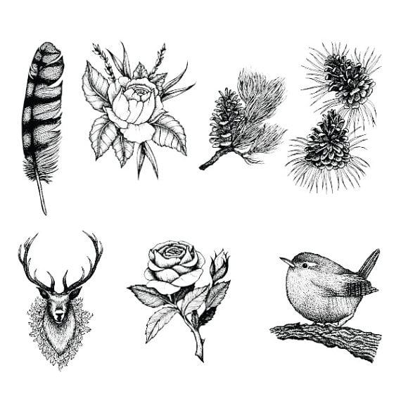 Tattify Nature Themed Temporary Tattoos - Into The Forest Wild (Set of 14) Tattify Nature Themed Temporary Tattoos - Into The Forest Wild (Set of 14)
