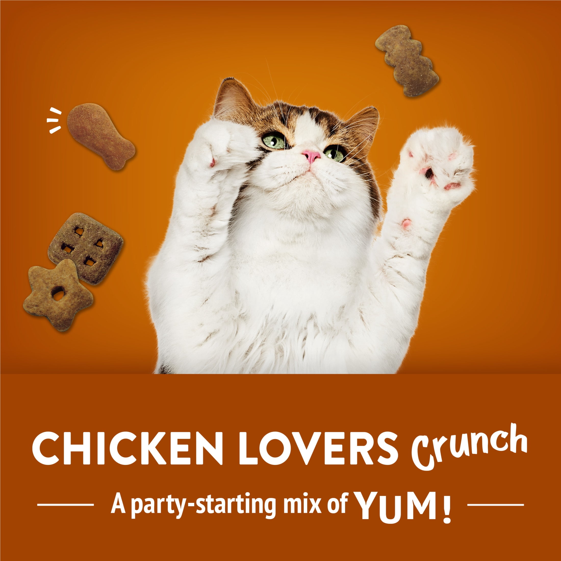 (4 pack) Purina Friskies Cat Treats, Party Mix Chicken Lovers Crunch, 20 oz, 3 Pack
