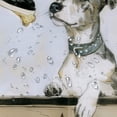 thumbnail image 5 of Orinice Dog Bone Bathroom Decor Set Colorful Luxurious Graphic Print Polyester Fabric Fashion Shower Curtain with Hooks, 100% Polyester Waterproof Washable Curtains 60x72, 5 of 7