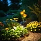 thumbnail image 1 of CaiYueKe Solar Powered Rose Garden Lights Outdoor Waterproof LED Decorative Lawn Stake Lights for Yard Pathway Patio Landscape Decor, 1 of 7