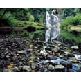 thumbnail image 2 of Terrill, Steve 32x26 Black Ornate Wood Framed with Double Matting Museum Art Print Titled - Oregon, Youngs River Falls Waterfall landscape, 2 of 4