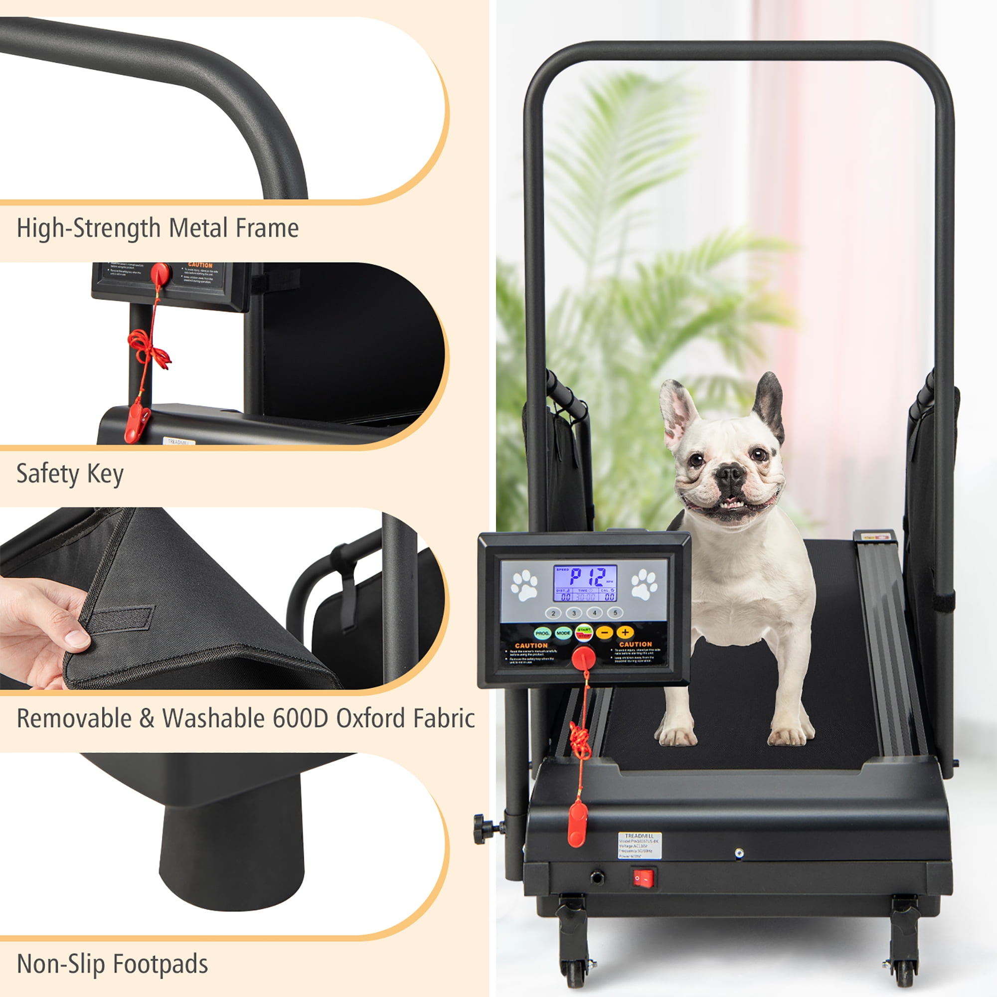 Small dog treadmill for sale sale