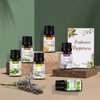 OrientLeaf Essential Oils Set Perfect Women's Day Gift for Aromatherapy, Muscle Massage, Skin Care, 100% Pure 6 Pcs 10ML