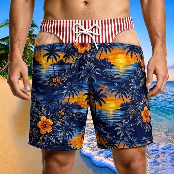 Briefs Board Shorts Funny Swim Trunks for Men Boardshorts 3d Graphic Hawaii Beach Shorts Summer Fun Gift
