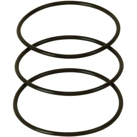 

20 x 4.5 Big Blue Water Filter Housing for Whole House Water Filtration System 3PC O rings