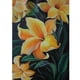 thumbnail image 1 of Taladro Pintura Diamante (DB2567) 5D DIY Flor Completa Punto de Cruz Kits de Mosaico (11) 30x40cm FLhrweasw Nuevo, 1 of 1