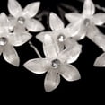 thumbnail image 3 of 8 Uds. Horquillas para el pelo de novia para boda, pinzas para el pelo con diamantes de imitación, horquillas para el pelo en forma de U (blanco), 3 of 5