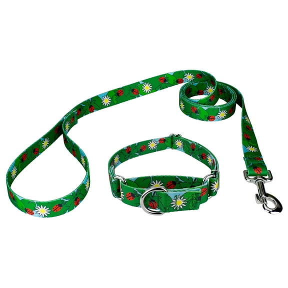Country Brook Petz® Ladybug Picnic Martingale Dog Collar and Leash, Extra Large