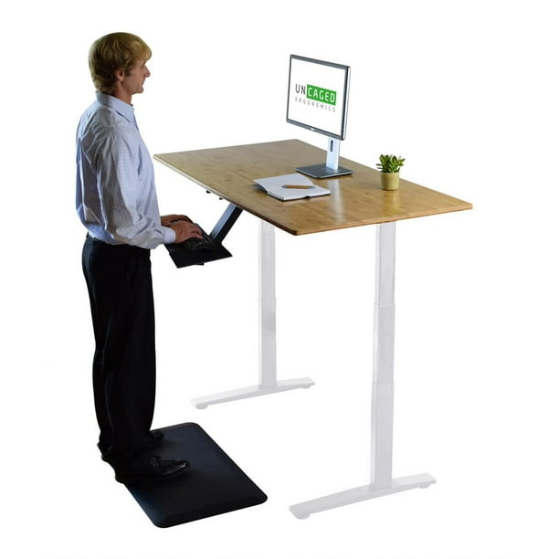 Rise UP Dual Motor Electric Standing Desk 48x30 Bamboo Desktop Premium Ergonomic Adjustable Height sit Stand up Home Office Computer Desk Table