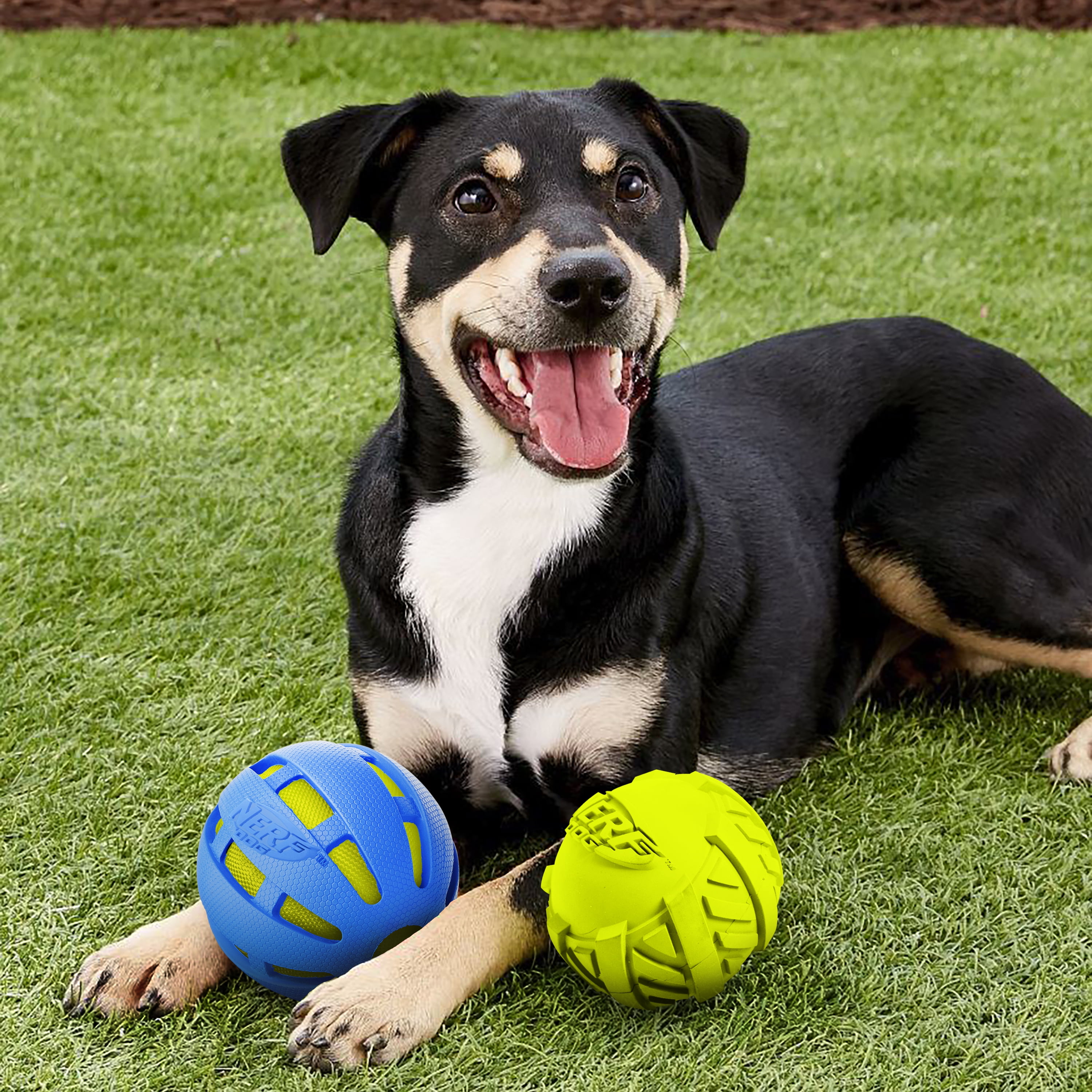Nerf Dog Large Squeak or Crunch Ball Toy - Perfect for Medium and Large Dogs (Assorted)