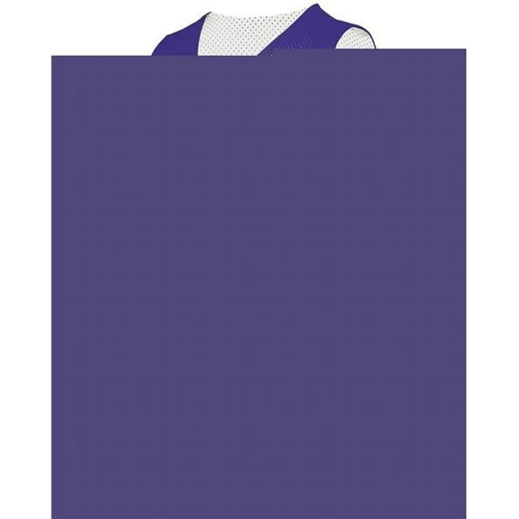 Augusta Youth Tricot Mesh Reversible 2.0 Jersey 162 Purple/White L