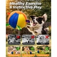 thumbnail image 3 of Calming Jumbo Ball for Dogs, 10/18/22" Large Herding Balls, Durable Tear-Resistant Inflatable Toys with Heavy-Duty Handle Cover & Pump, Big Exercise Toy for Pets and Horses, 3 of 7