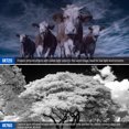 thumbnail image 4 of Neewer 77mm IR Filter 4-Pack (IR720/IR760/IR850/IR950) with Pouch & Cloth for DSLR Cameras, 4 of 7