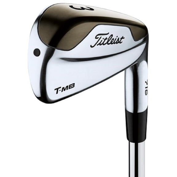 Pre-Owned Titleist T-MB 716 20* 3H Hybrid Stiff True Temper Dynamic Gold AMT S300 Value