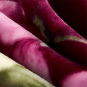 NC King Size Blanket 2 Ply Thick Warm Plush Bed Blanket for Winter, 10lbs, Purple Floral, 85x93