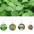 thumbnail image 2 of Toys Sticks Organic Natural Silver vine Pet Cat Supply for Cats Chatsworth Rack Catmint Low, 2 of 9
