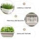 thumbnail image 4 of 1 macetero de plástico para hortalizas, contenedor para cultivo, decoración de jardín y hogar., 4 of 5