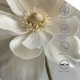 thumbnail image 3 of Fotbe Elegant Ivory Flower Gorro Clásico de Béisbol, Gorra Ajustable con Broche Snapback, Gorro de Exterior de Algodón Suave, 3 of 6