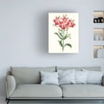 thumbnail image 3 of Vision Studio 'Roseate Blooms I' Canvas Art, 3 of 3