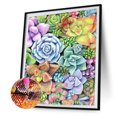 thumbnail image 2 of 5D planta carnosa mosaico diamante pintura dibujo cuadrado completo taladro DIY arte artesanía Likrtyny Arte deco, 2 of 9