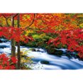 thumbnail image 1 of Diamond Drill Painting (DE1804) DIY Maple Falls Round Picture Full 5D Ornament Kit 30x40cm Hugtrwg Para estrenar, 1 of 1