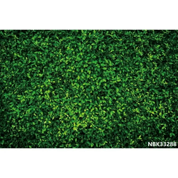 Birthday Photo Backgrounds Green Grass Wall Tropical Plants Leaves Jungle Safari Photography Backdrops For Photo Studio