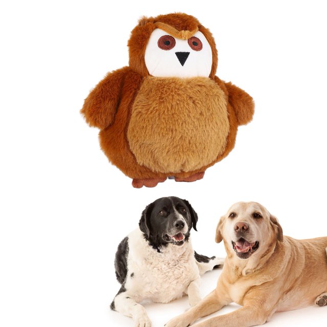 Jouet en Peluche pour Animaux, Doux Confortable Lavable, Jouet Interactif pour Chien Chat, Réduit l'Ennui