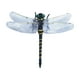 thumbnail image 4 of Juguete repelente de mosquitos para exteriores, modelo de libélula de simulación, repelente de mosquitos, longitud del ala 12 cm, 4 of 6