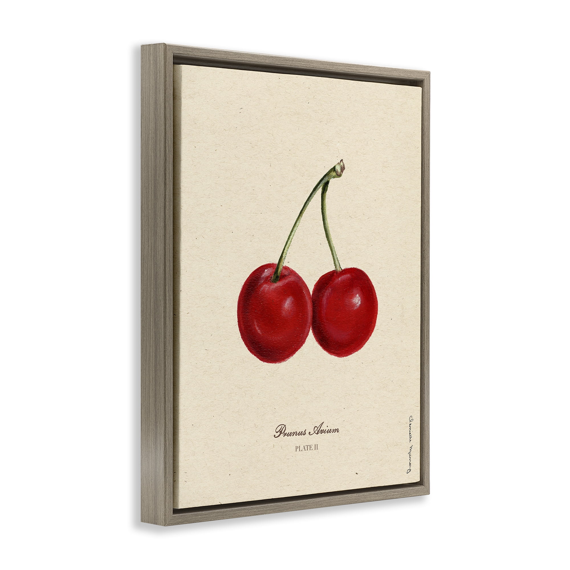 Stupell Industries Cherry Fruit Portrait Brown Framed Floater Canvas Wall Art, design by Danielle Murray