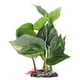 thumbnail image 5 of Plantas de agua de acuario de plástico con adorno de Base de peso planta de simulación de hoja verde Artificial plantas acuáticas subacuáticas para acuario ANGGREK Otros, 5 of 8