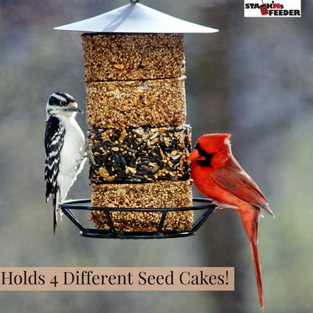 Stack'Ms Seed Cake Bird Feeder for All Types of Wild Outdoor Backyard (Best Type Of Bird Feeder)