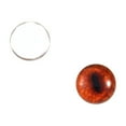thumbnail image 2 of Red Fox Glass Eyes, 2 of 3