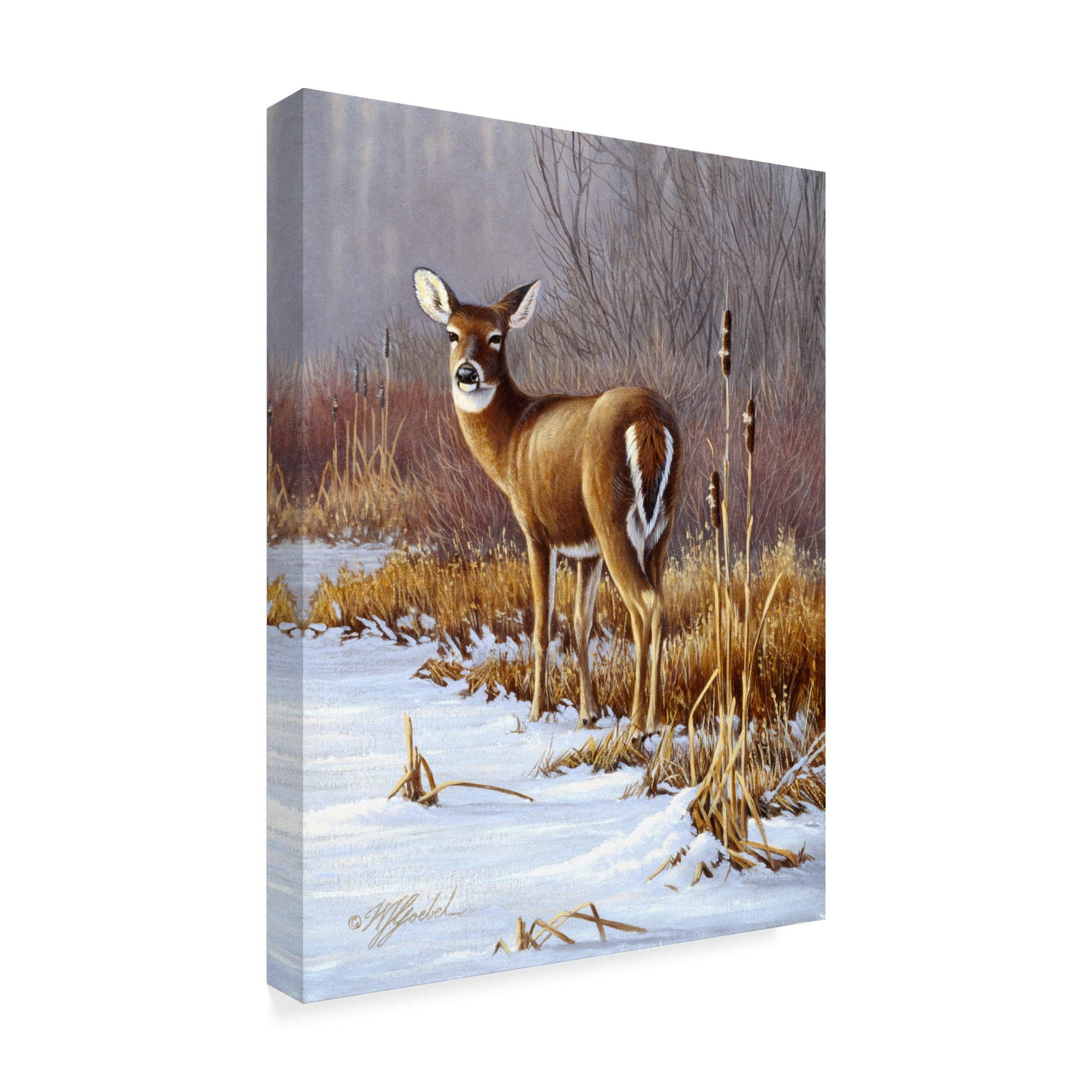 Trademark Fine Art 'On Alert' Canvas Art by Wilhelm Goebel