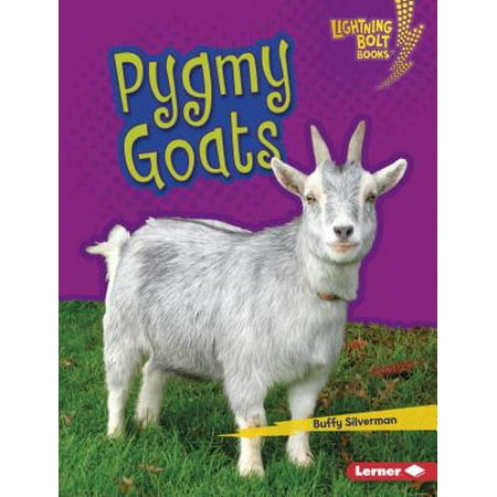 Pygmy Goats (Best Fencing For Pygmy Goats)