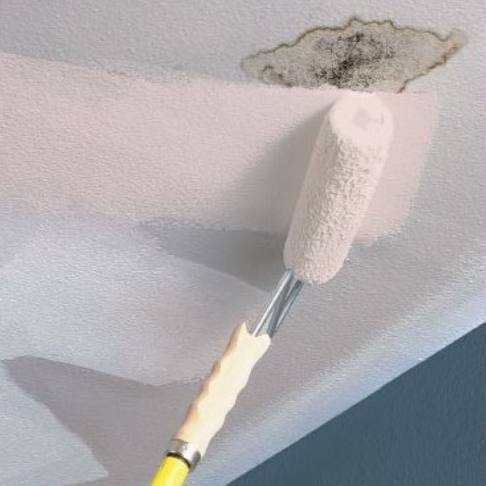 KILZ Interior Stainblocking Ceiling Paint, White, 1 Gallon