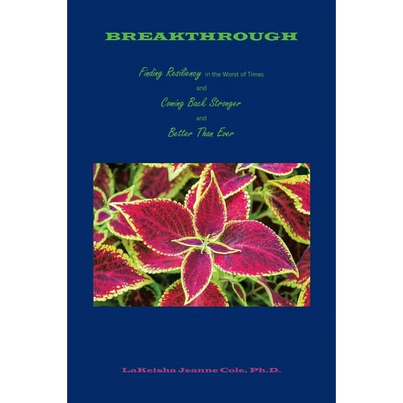 Breakthrough: Finding Resiliency in the Worst of Times and Coming Back Stronger and Better Than Ever (Paperback)