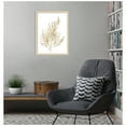 thumbnail image 7 of Amanti Art Neutral Algae II Wood Framed Wall Art Print, 7 of 7