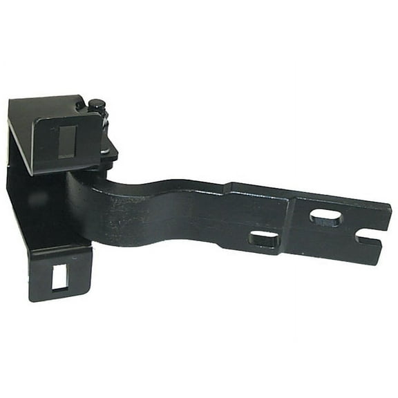 Brothers Trucks DHL5559 Lower Door Hinge