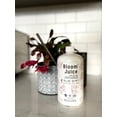 thumbnail image 4 of Bloom Juice Award-Winning Formula, 4 of 5